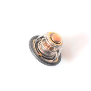 TERMOSTATO DFM 1.3