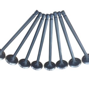 JUEGO VÁLVULAS DE ESCAPE ZOTYE 1600 C.C.