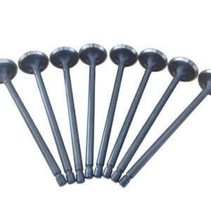 JUEGO VÁLVULAS DE ESCAPE ZOTYE 1300 C.C.