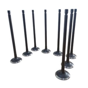 JUEGO VÁLVULAS DE ADMISIÓN ZOTYE 1600 C.C.