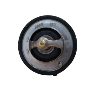 TERMOSTATO HYUNDAI VISION