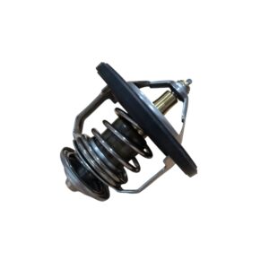 TERMOSTATO HYUNDAI GETZ