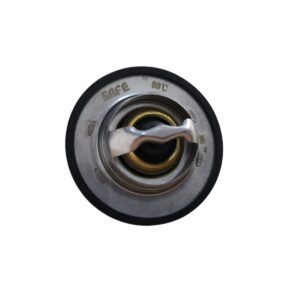 TERMOSTATO RENAULT CITIUS