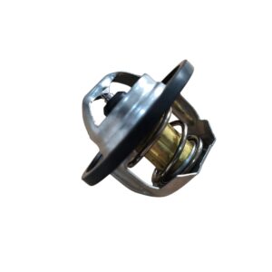 TERMOSTATO RENAULT SYMBOL