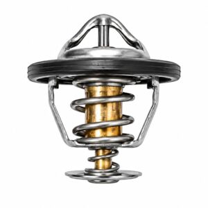 TERMOSTATO ZOTYE